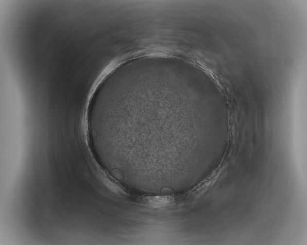X0000115670102200911191033