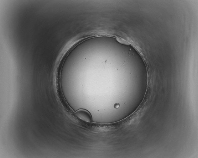 X0000115670103200911191033