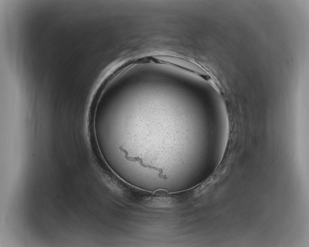 X0000115670104200911191033