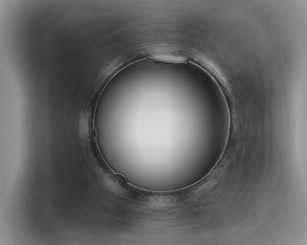 X0000115670105200911191033
