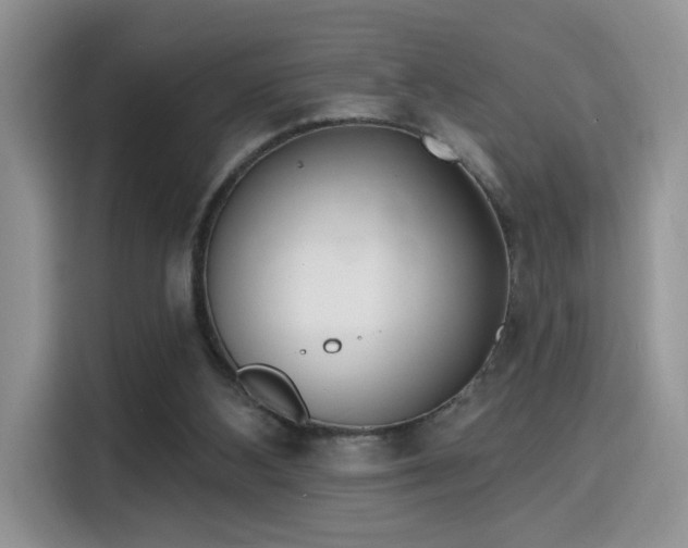 X0000115670108200911191033