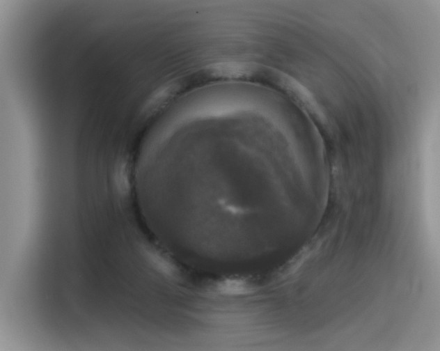 X0000115670114200911191033