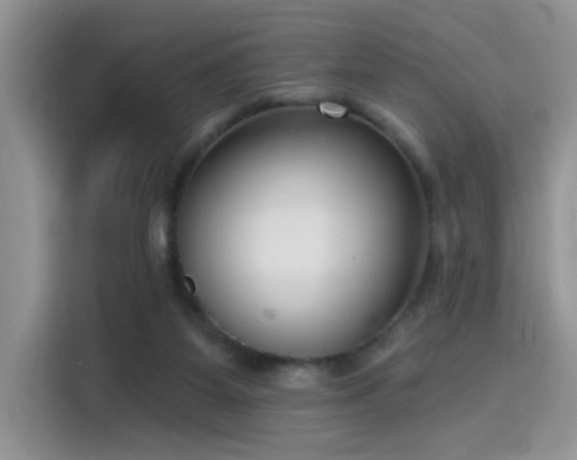 X0000115670115200911191033
