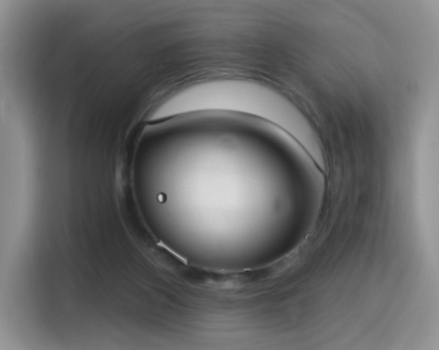 X0000115670116200911191033