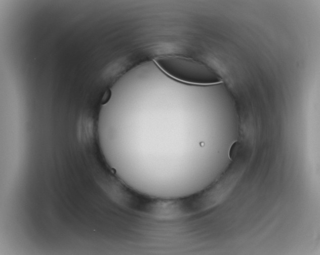 X0000115670117200911191033