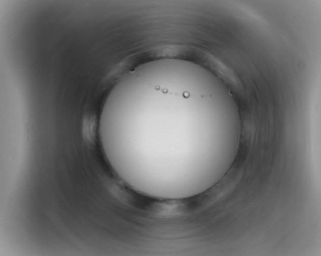 X0000115670118200911191033