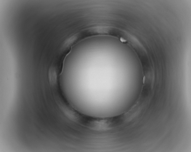 X0000115670120200911191033