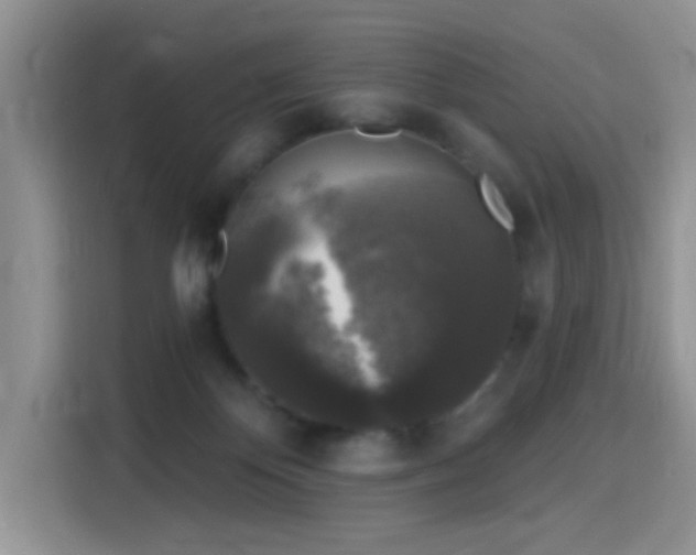 X0000115670124200911191033