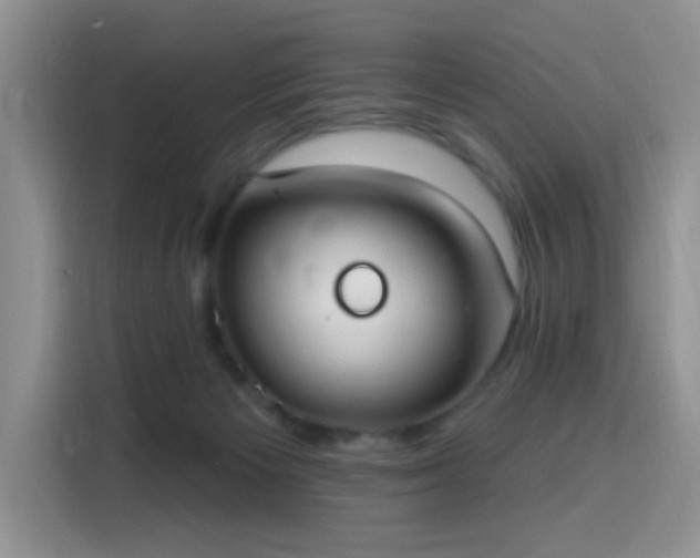X0000115670125200911191033