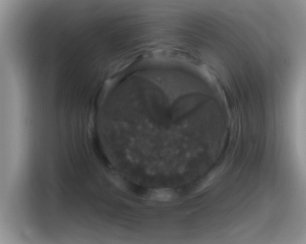 X0000115670127200911191033