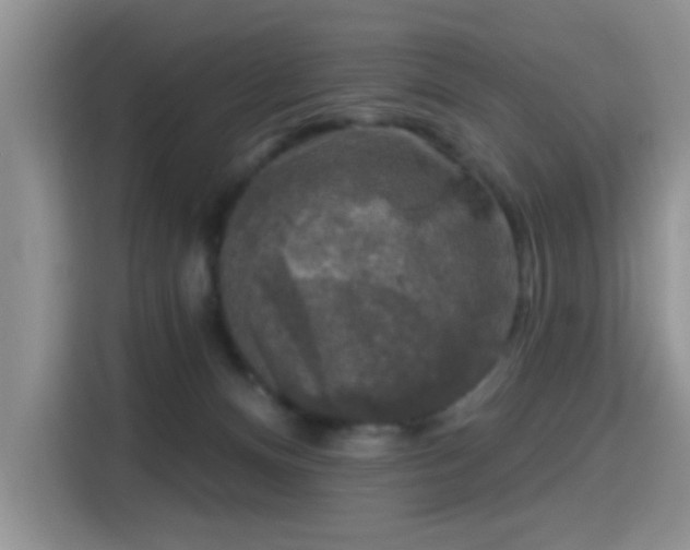 X0000115670128200911191033