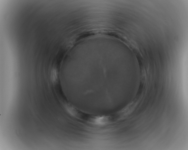 X0000115670130200911191033