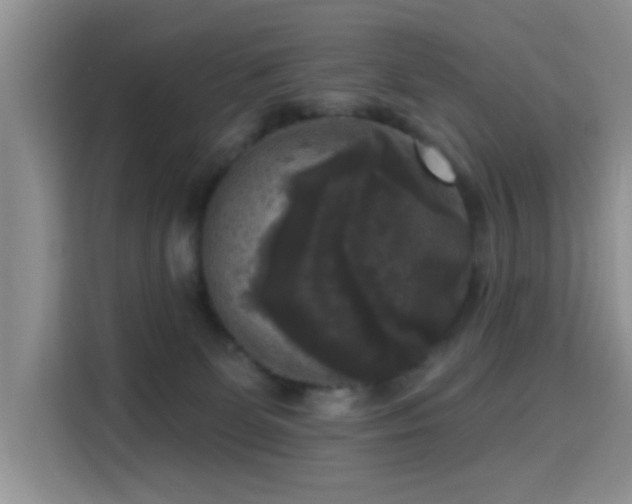 X0000115670131200911191033