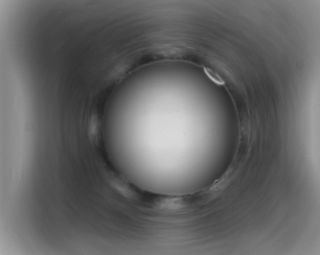 X0000115670132200911191033