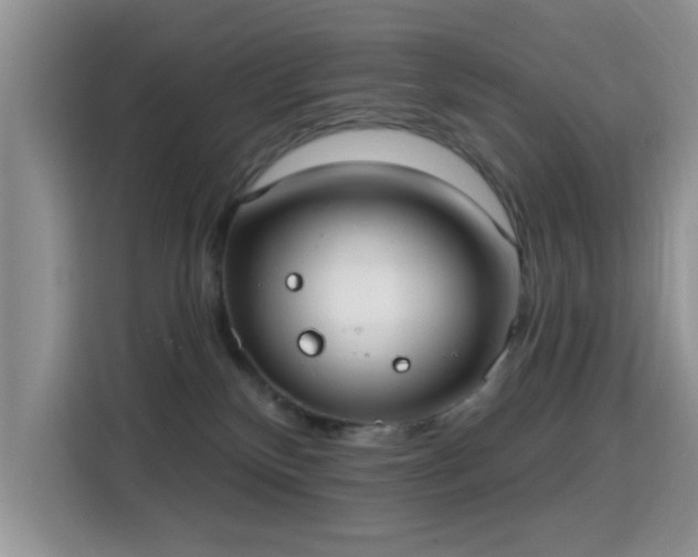 X0000115670136200911191033