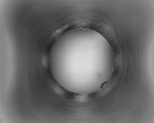 X0000115670138200911191033