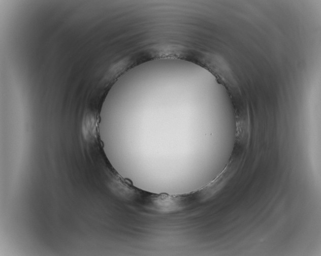 X0000115670142200911191033