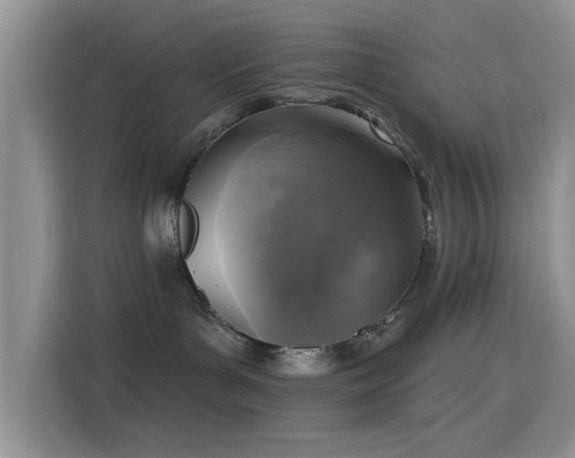 X0000115670143200911191033