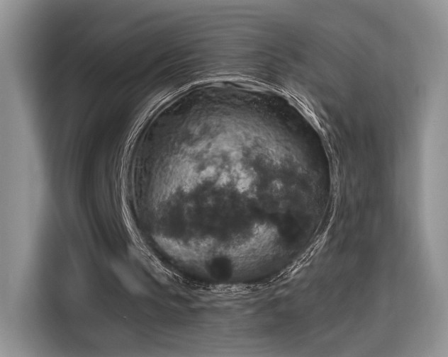 X0000115670145200911191032