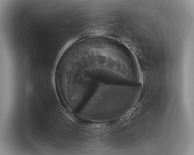 X0000115670147200911191032