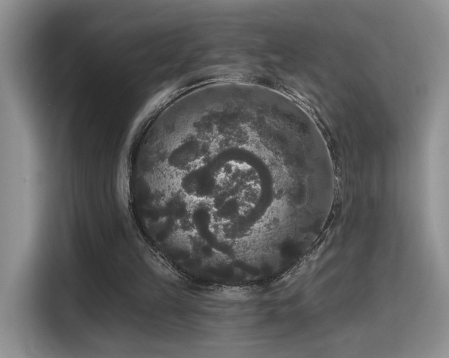 X0000115670149200911191032