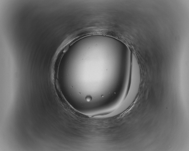 X0000115670150200911191032