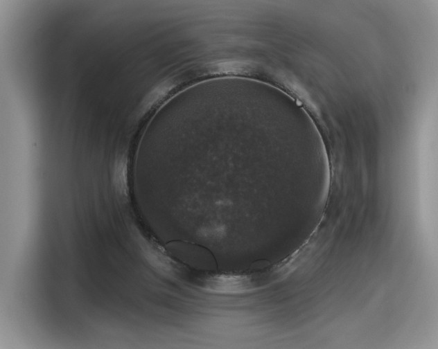 X0000115670154200911191032