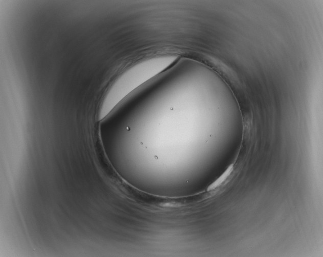 X0000115670158200911191032