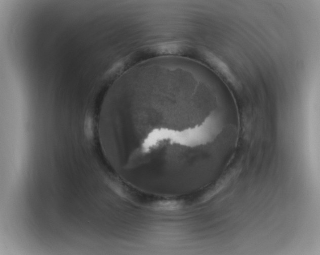 X0000115670161200911191032