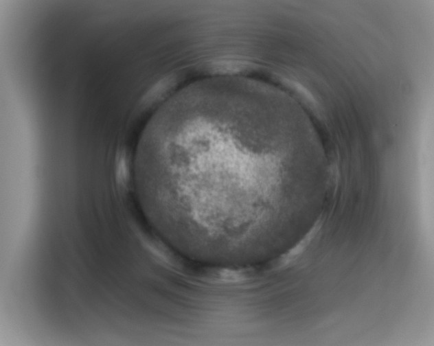 X0000115670166200911191032