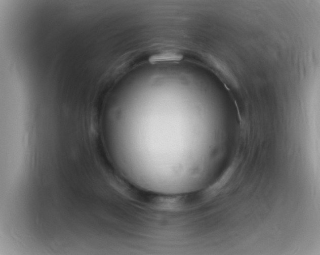 X0000115670170200911191032