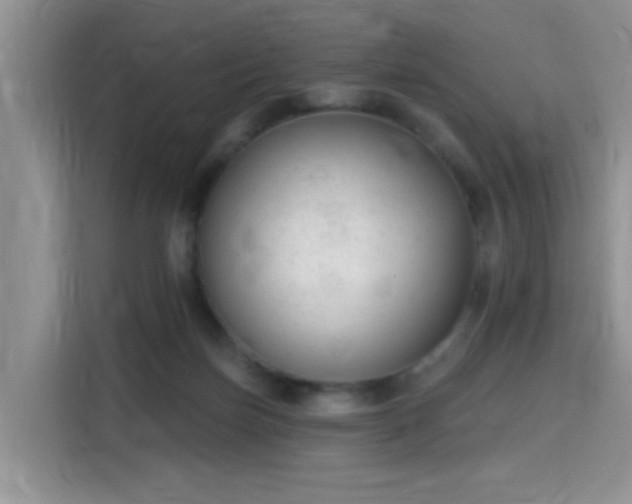 X0000115670171200911191032