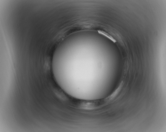 X0000115670174200911191032