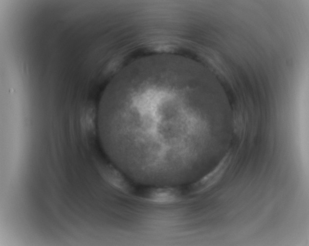 X0000115670175200911191032