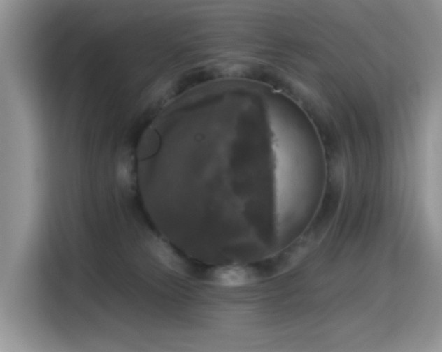 X0000115670181200911191033