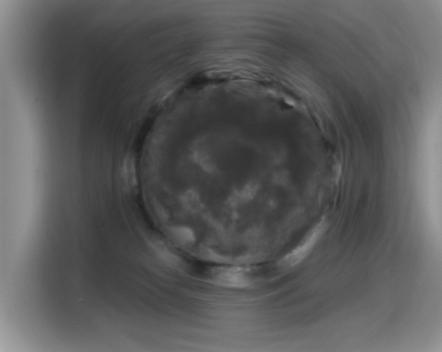 X0000115670182200911191033
