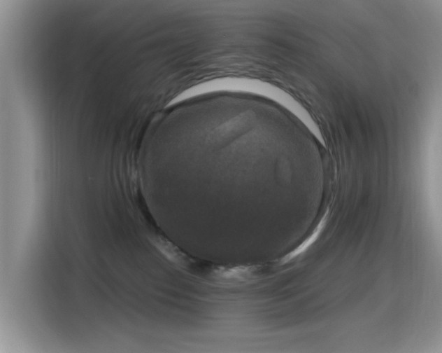 X0000115670186200911191033