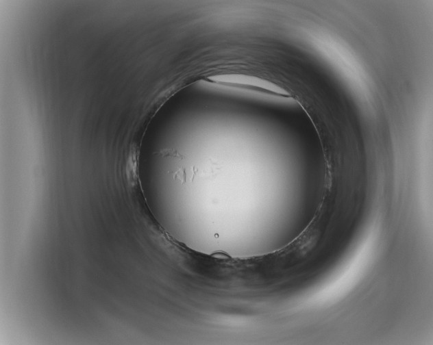 X0000115670190200911191033