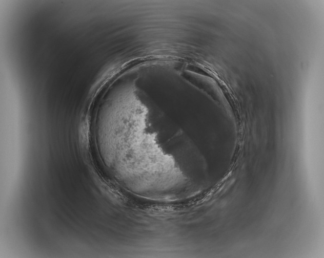 X0000115670194200911191032
