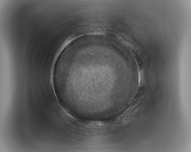 X0000115670195200911191032