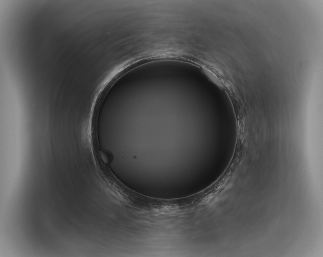 X0000115670196200911191032