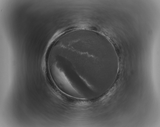 X0000115670198200911191032