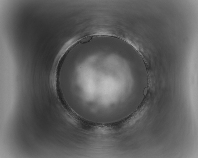 X0000115670199200911191032