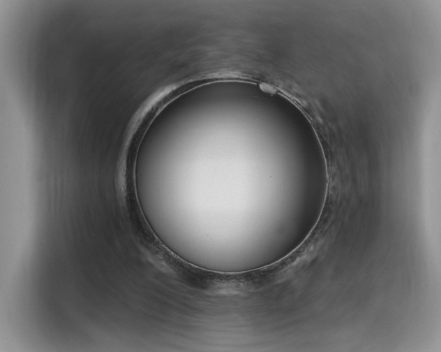 X0000115670200200911191032