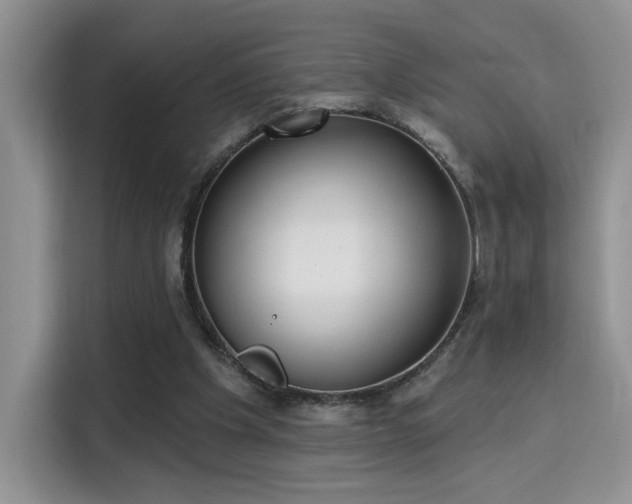 X0000115670201200911191032