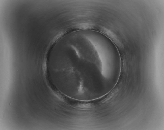 X0000115670202200911191032