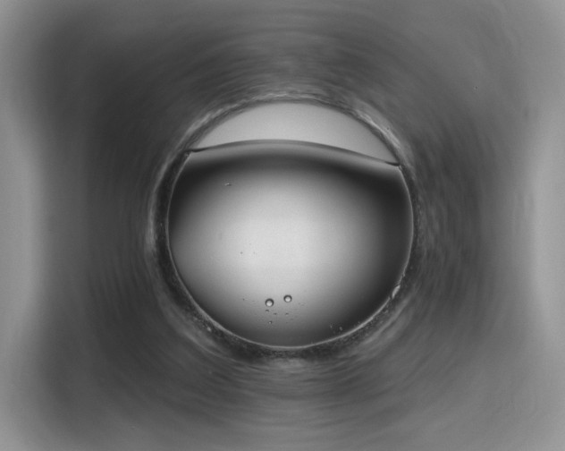 X0000115670203200911191032