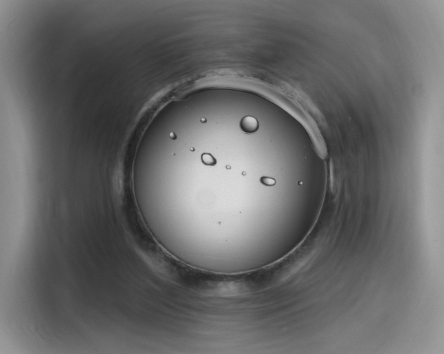 X0000115670204200911191032