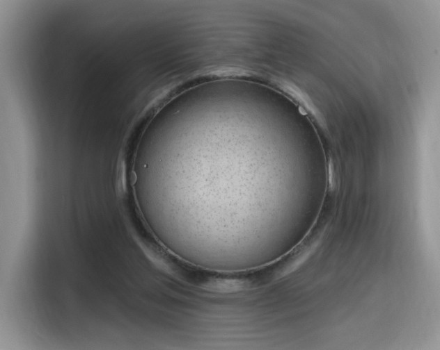 X0000115670205200911191032