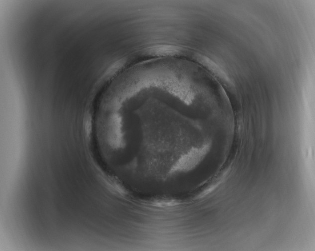 X0000115670206200911191032